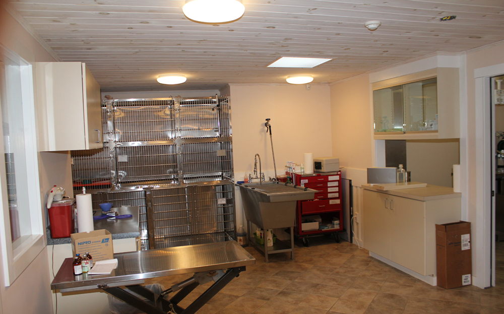 Cardigan Veterinary Clinic Veterinarian in Canaan, NH